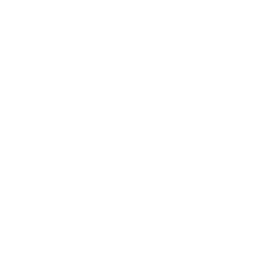 Rocket icon.